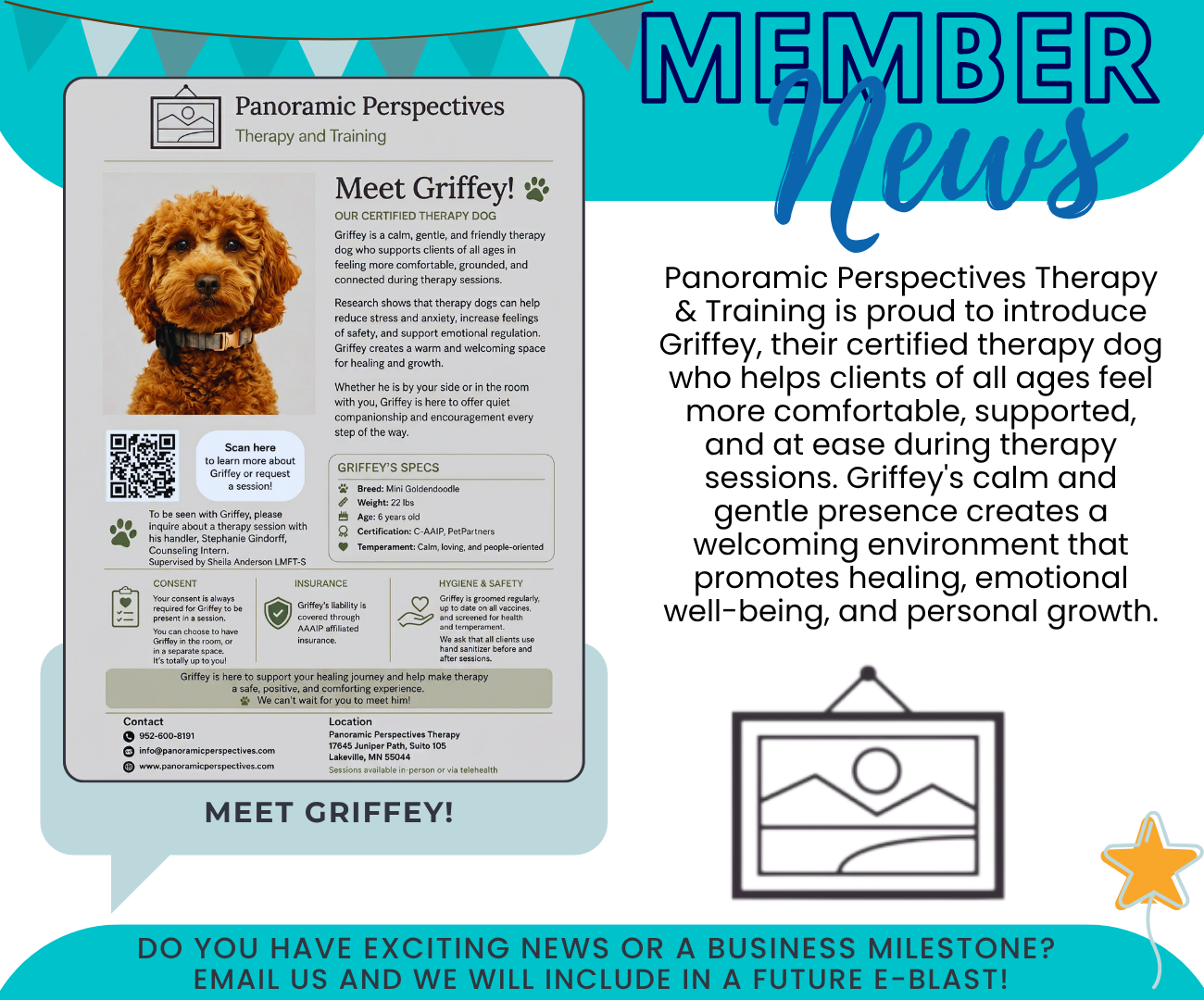 Member News - Panoramic Perspectives